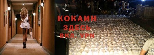 мескалин Заводоуковск