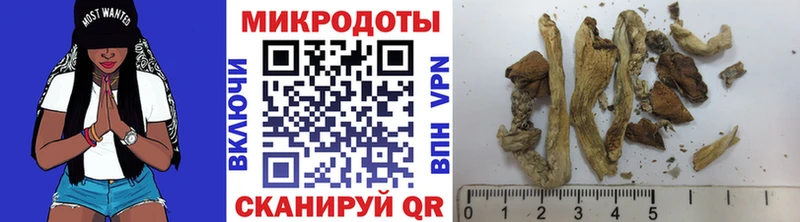 Купить где Шебекино Псилоцибиновые грибы GOLDEN TEACHER